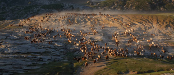 新疆沙尔布拉克转场文化小镇：看游牧文化“活化石”