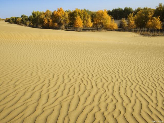 沙漠中的独特小气候区——绿洲，以及它的类型